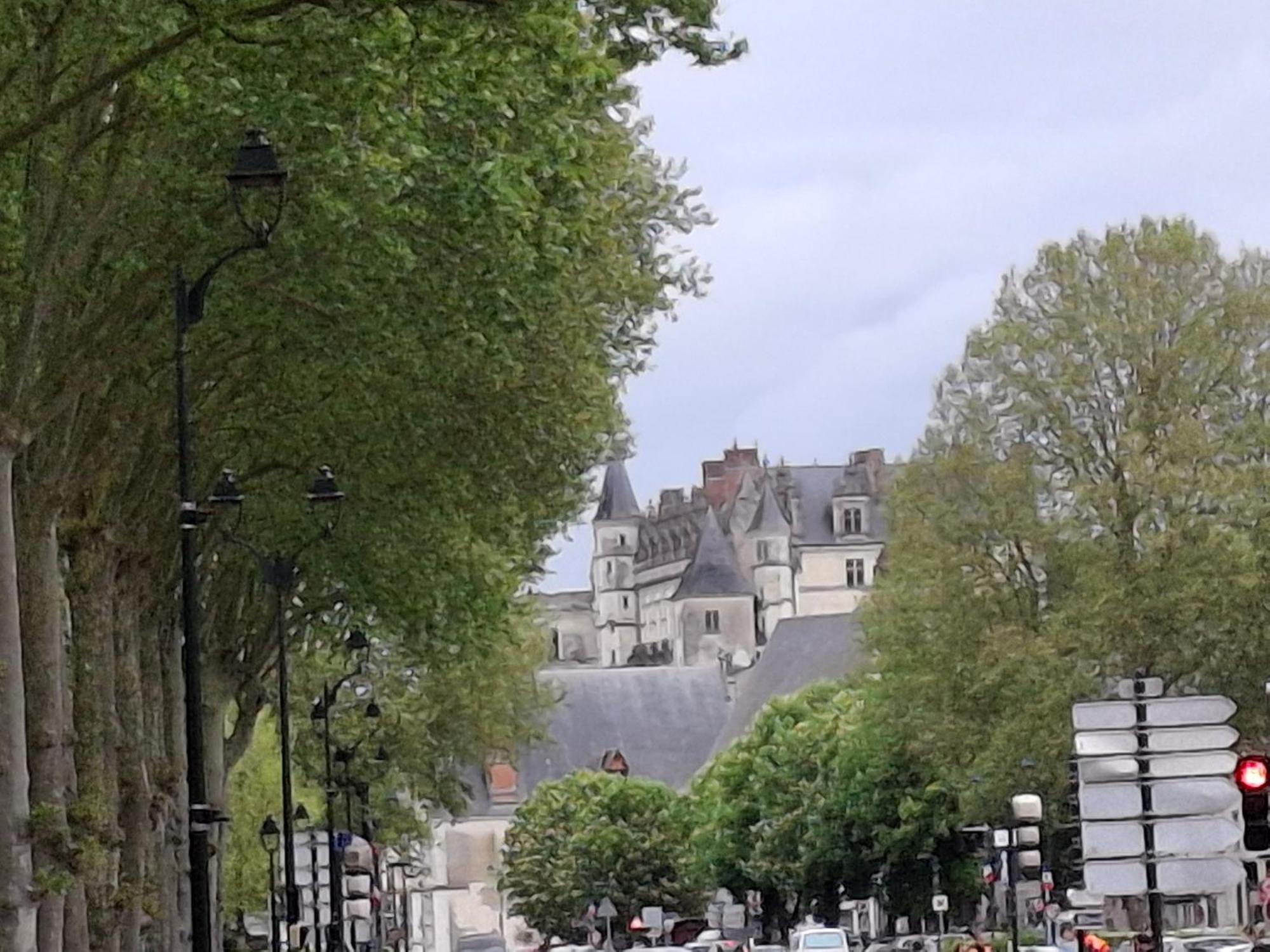 Escale Au Pied Du Chateau Amboise Esterno foto
